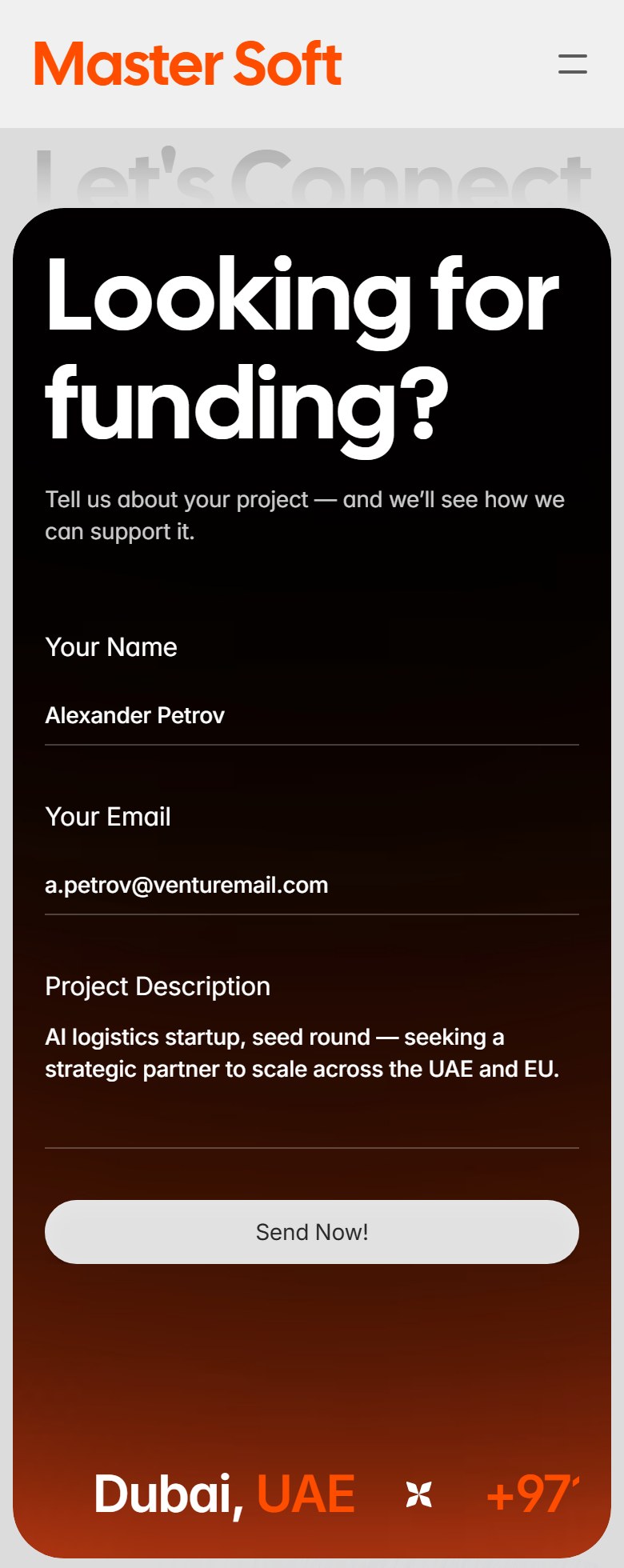 Master Soft — Investment Company Website — phone 3
